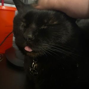 Meet your Posher, Reid